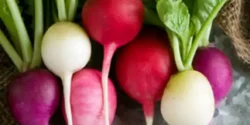 خواص ترب برای مردان و زنان در طب سنتی مدرن