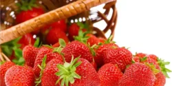 خواص توت فرنگی برای مردان و زنان در طب سنتی مدرن