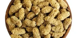 خواص توت سفید برای مردان و زنان و بارداری و سرماخوردگی