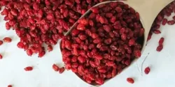 خواص زرشک برای مردان و زنان در طب سنتی مدرن