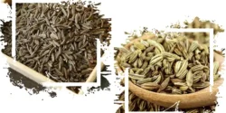 خواص زیره برای مردان و زنان در طب سنتی مدرن