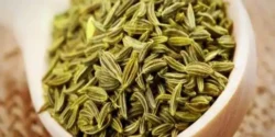 خواص زیره کوهی برای مردان و زنان در طب سنتی مدرن