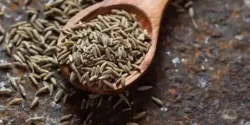 خواص زیره سیاه برای مردان و زنان در طب سنتی مدرن