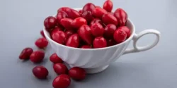 خواص زغال اخته برای مردان و زنان در طب سنتی مدرن