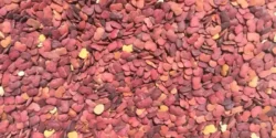 خواص عدس الملک برای مردان و زنان در طب سنتی مدرن
