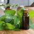 خواص عرق بادرنجبویه برای مردان و زنان در طب سنتی مدرن