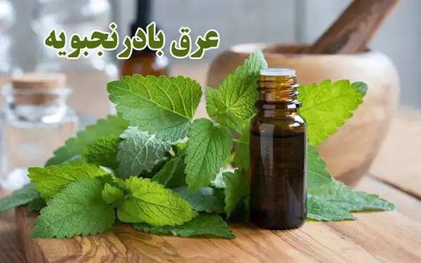 خواص عرق بادرنجبویه برای مردان و زنان در طب سنتی مدرن