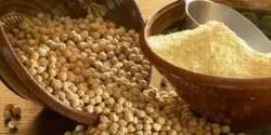 خواص آرد نخودچی برای مردان و زنان در طب سنتی مدرن