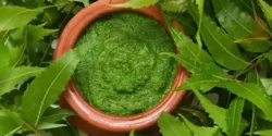خواص چریش برای مردان و زنان در طب سنتی مدرن