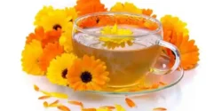 خواص دمنوش گل همیشه بهار برای مردان و زنان در طب سنتی مدرن