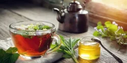 خواص دمنوش مریم گلی برای مردان و زنان در طب سنتی مدرن