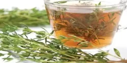 خواص دمنوش مرزنجوش برای مردان و زنان در طب سنتی مدرن