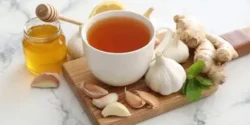 خواص دمنوش سیر برای مردان و زنان در طب سنتی مدرن