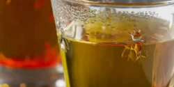 خواص دمنوش زعفران برای مردان و زنان در طب سنتی مدرن