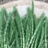 خواص دم اسب برای مردان و زنان در طب سنتی مدرن