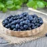 خواص قره قاط برای مردان و زنان در طب سنتی مدرن
