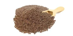 خواص قدومه برای مردان و زنان در طب سنتی مدرن