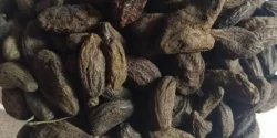 خواص هل سیاه برای مردان و زنان در طب سنتی مدرن