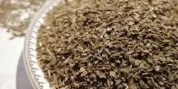 خواص میتخم برای مردان و زنان در طب سنتی مدرن