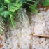 خواص نمک اپسوم برای مردان و زنان در طب سنتی مدرن