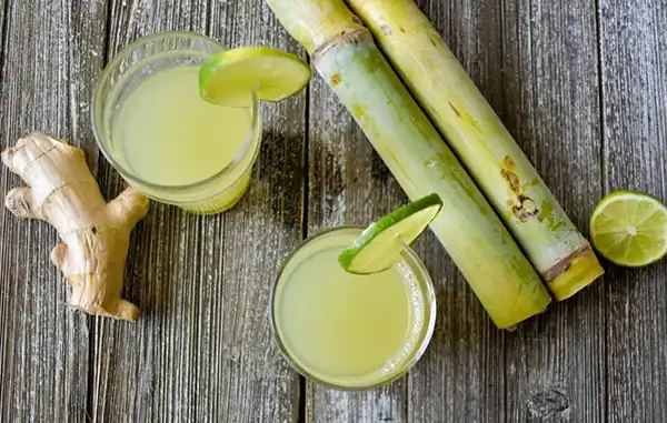 خواص نیشکر برای مردان و زنان در طب سنتی مدرن