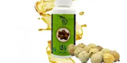 خواص روغن مازو برای مردان و زنان در طب سنتی مدرن