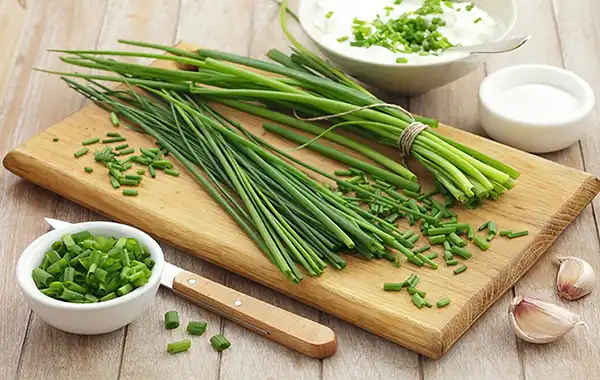 خواص تره کوهی برای مردان و زنان در طب سنتی مدرن