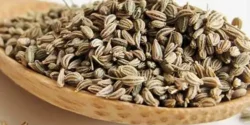 خواص زنیان برای مردان و زنان در طب سنتی مدرن