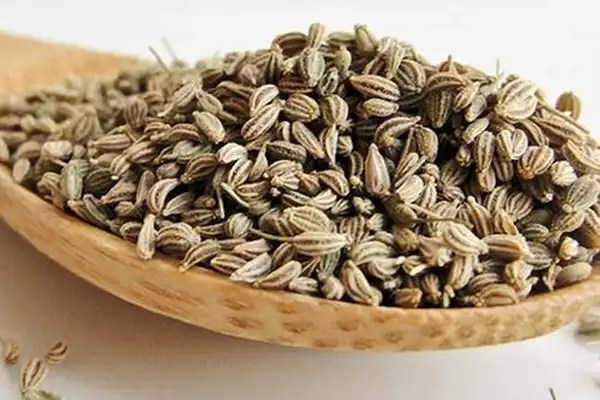 خواص زنیان برای مردان و زنان در طب سنتی مدرن