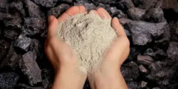 خواص خاکستر برای مردان و زنان در طب سنتی مدرن