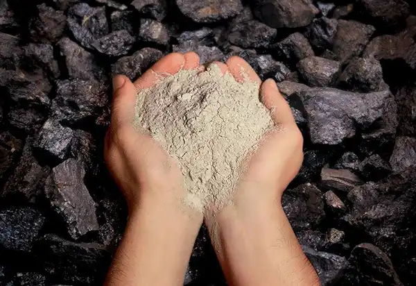 خواص خاکستر برای مردان و زنان در طب سنتی مدرن