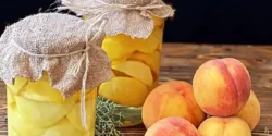 خواص کمپوت هلو برای مردان و زنان در طب سنتی مدرن