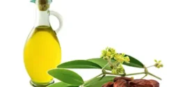 خواص روغن عناب برای مردان و زنان در طب سنتی مدرن