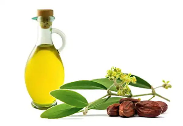 خواص روغن عناب برای مردان و زنان در طب سنتی مدرن