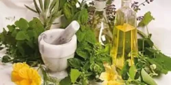خواص روغن چهل گیاه برای مردان و زنان در طب سنتی مدرن
