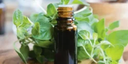 خواص روغن پونه برای مردان و زنان در طب سنتی مدرن