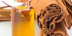 خواص روغن دارچین برای مردان و زنان در طب سنتی مدرن